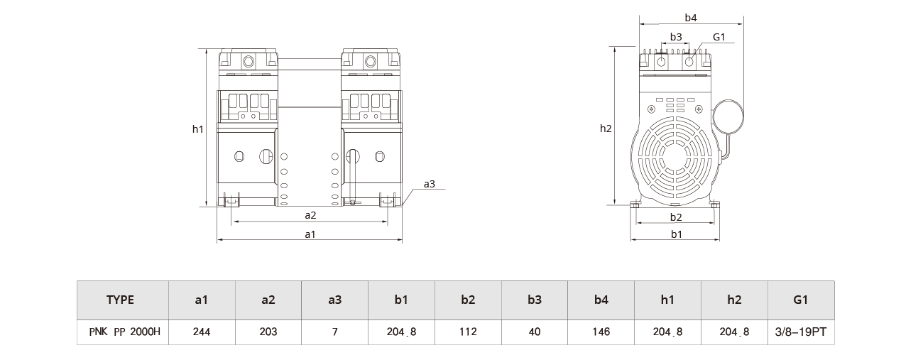 PNK PP 2000H活塞真空泵（bèng）.png