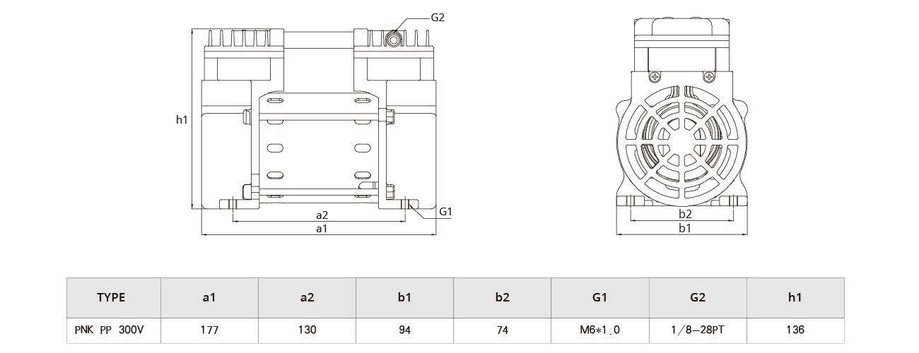 PNK PP 300V活塞（sāi）真空泵.png